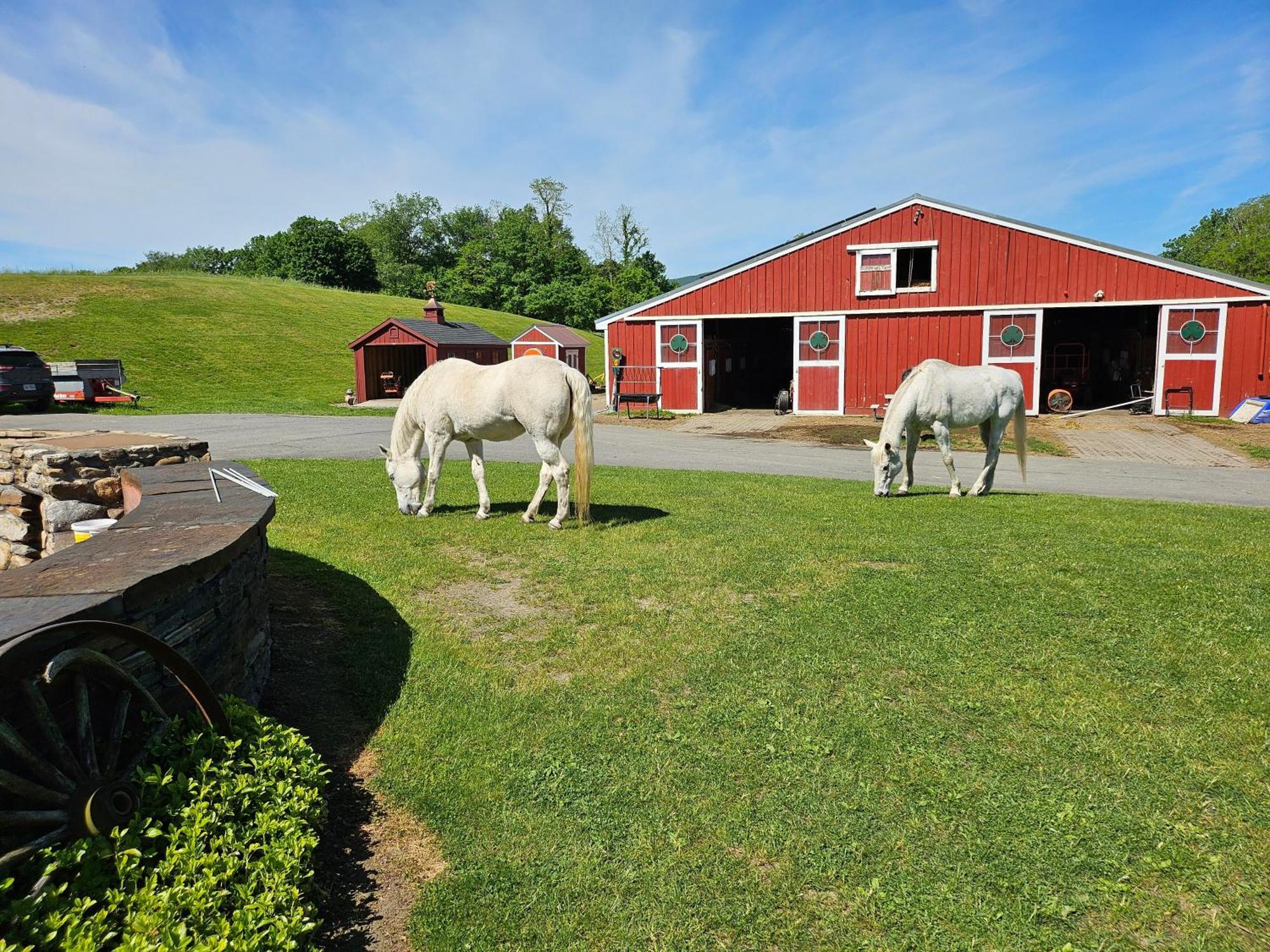 Clover Hill Farm & Country Inn Williamstown Exterior photo